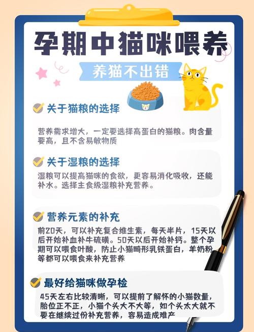 猫咪怀孕吃什么,怀孕初期可以养猫咪不-第2张图片-后鲨宠物 猫咪怀孕吃什么,怀孕初期可以养猫咪不-第2张图片-后鲨宠物