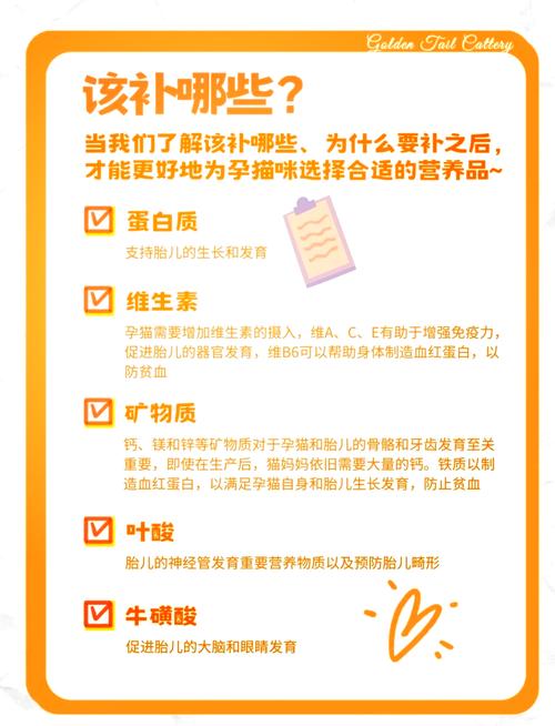 猫咪怀孕吃什么,怀孕初期可以养猫咪不-第6张图片-后鲨宠物 猫咪怀孕吃什么,怀孕初期可以养猫咪不-第6张图片-后鲨宠物