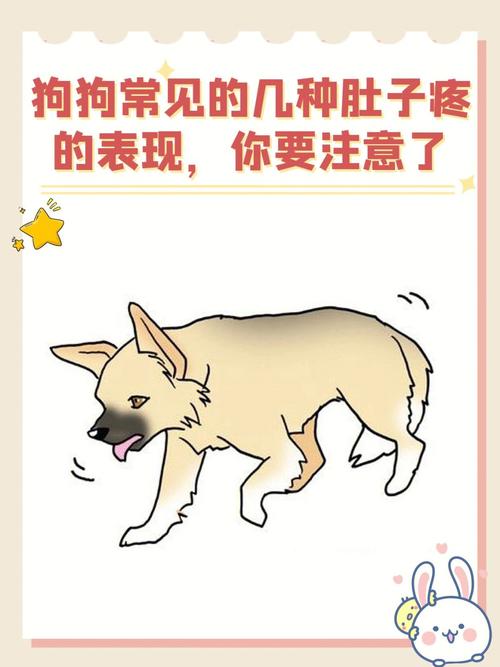 狗狗腹痛的表现_狗狗腹痛祈祷状-第4张图片-后鲨宠物 狗狗腹痛的表现_狗狗腹痛祈祷状-第4张图片-后鲨宠物