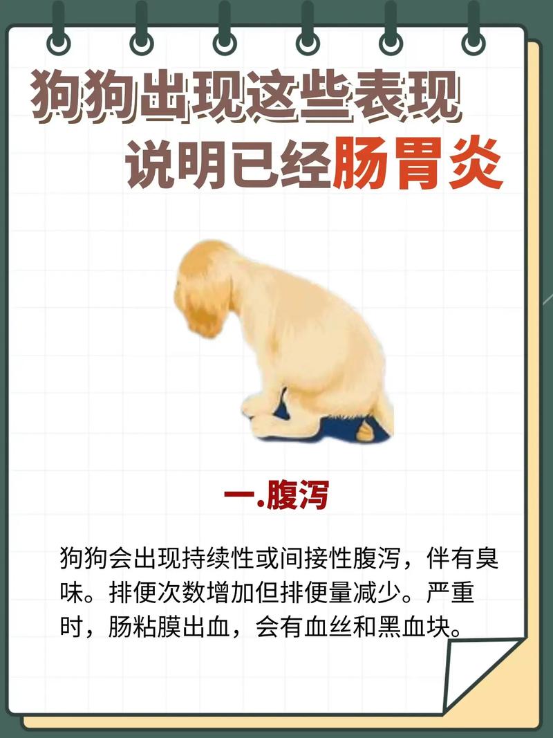 狗狗腹痛的表现_狗狗腹痛祈祷状-第5张图片-后鲨宠物 狗狗腹痛的表现_狗狗腹痛祈祷状-第5张图片-后鲨宠物