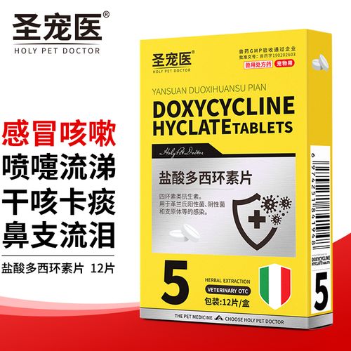 猫咪发烧了吃什么药,猫猫发烧了喂什么药?-第2张图片-后鲨宠物 猫咪发烧了吃什么药,猫猫发烧了喂什么药?-第2张图片-后鲨宠物