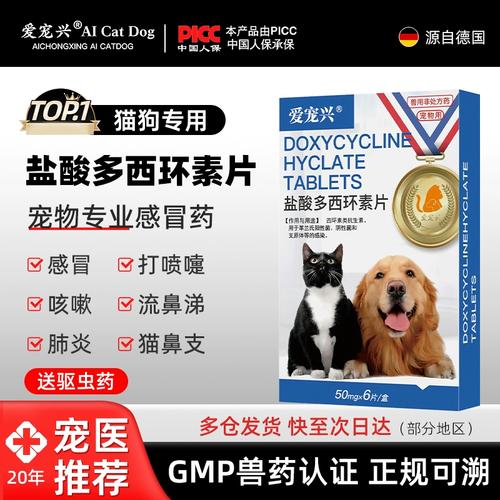 猫咪发烧了吃什么药,猫猫发烧了喂什么药?-第4张图片-后鲨宠物 猫咪发烧了吃什么药,猫猫发烧了喂什么药?-第4张图片-后鲨宠物