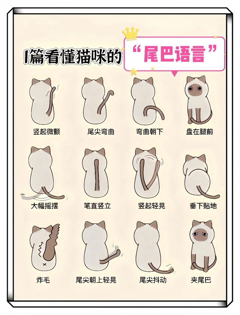 猫咪的尾巴像什么,猫尾巴像什么?可以比作什么??-第1张图片-后鲨宠物 猫咪的尾巴像什么,猫尾巴像什么?可以比作什么??-第1张图片-后鲨宠物