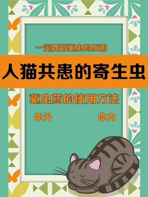 猫咪蛔虫会传染人吗_猫咪蛔虫会传染人吗视频-第1张图片-后鲨宠物 猫咪蛔虫会传染人吗_猫咪蛔虫会传染人吗视频-第1张图片-后鲨宠物