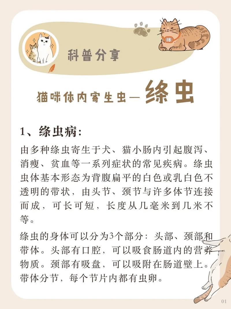 猫咪蛔虫会传染人吗_猫咪蛔虫会传染人吗视频-第2张图片-后鲨宠物 猫咪蛔虫会传染人吗_猫咪蛔虫会传染人吗视频-第2张图片-后鲨宠物