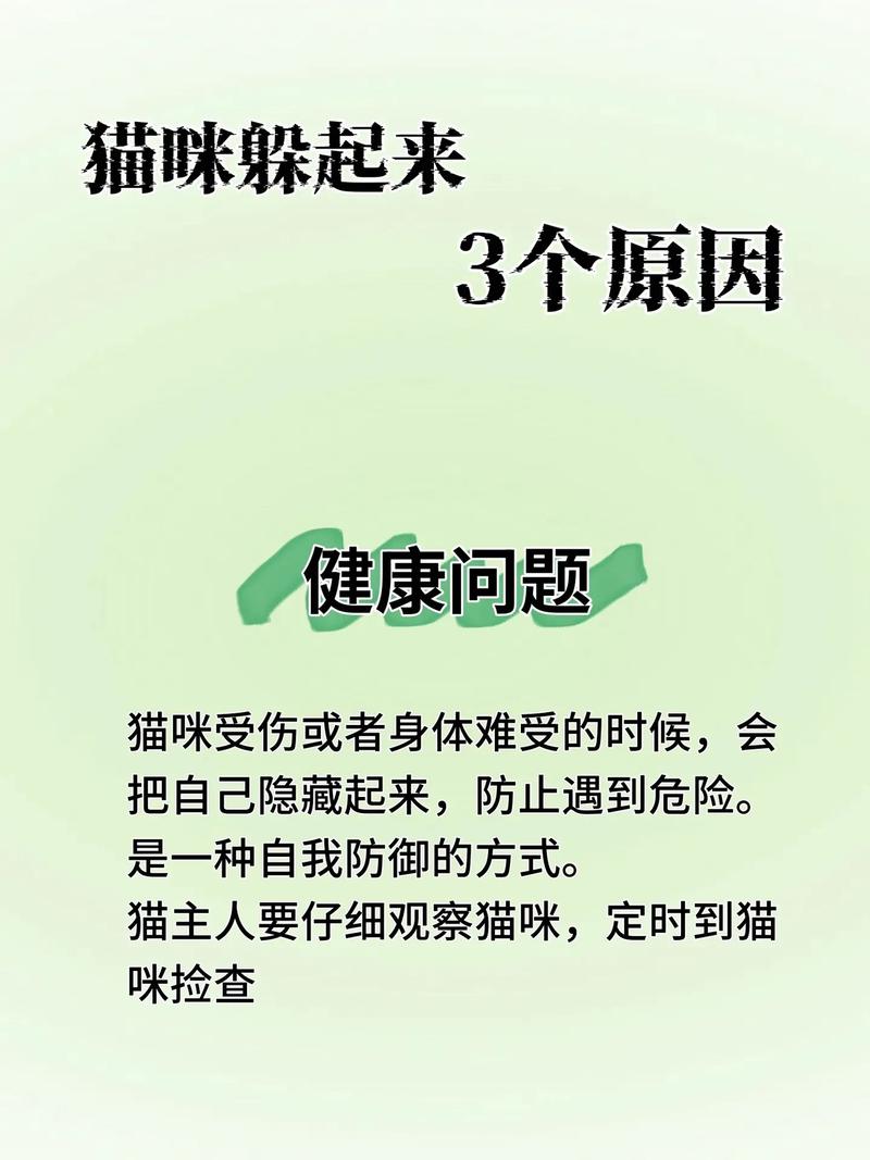 猫咪为什么突然躲起来_猫咪为什么突然躲起来不出来-第1张图片-后鲨宠物 猫咪为什么突然躲起来_猫咪为什么突然躲起来不出来-第1张图片-后鲨宠物