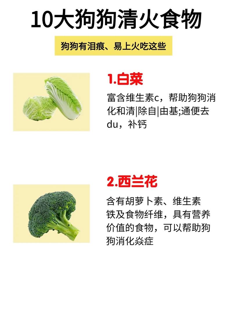 狗狗吃什么去泪痕,狗狗吃什么泪痕重-第4张图片-后鲨宠物 狗狗吃什么去泪痕,狗狗吃什么泪痕重-第4张图片-后鲨宠物