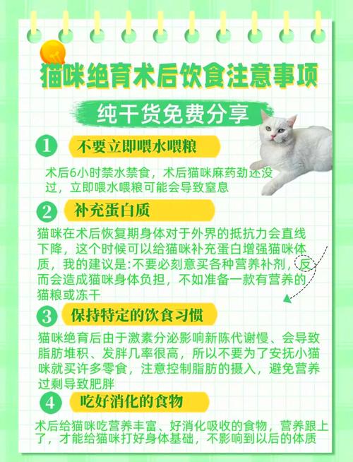 给猫咪吃什么补充营养,给猫咪吃什么补充营养最快-第3张图片-后鲨宠物 给猫咪吃什么补充营养,给猫咪吃什么补充营养最快-第3张图片-后鲨宠物