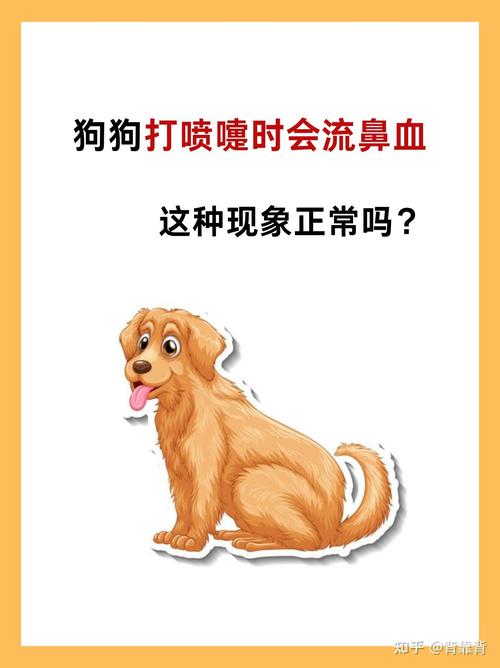 狗狗鼻子流血怎么办_狗狗鼻子流血能自愈吗-第4张图片-后鲨宠物 狗狗鼻子流血怎么办_狗狗鼻子流血能自愈吗-第4张图片-后鲨宠物