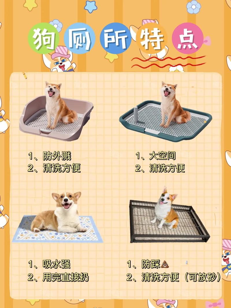 怎样教会狗狗定点排便,如何教会狗狗定时定地方排便-第2张图片-后鲨宠物 怎样教会狗狗定点排便,如何教会狗狗定时定地方排便-第2张图片-后鲨宠物