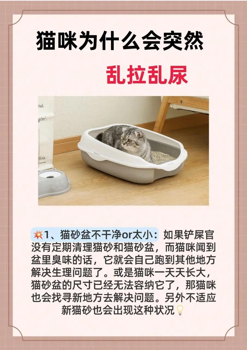 猫咪乱尿是怎么回事_猫咪乱尿的原因和解决方法-第1张图片-后鲨宠物 猫咪乱尿是怎么回事_猫咪乱尿的原因和解决方法-第1张图片-后鲨宠物