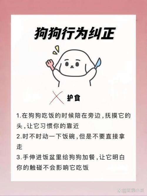 狗狗护食是什么意思,狗狗护食会怎么样-第2张图片-后鲨宠物 狗狗护食是什么意思,狗狗护食会怎么样-第2张图片-后鲨宠物