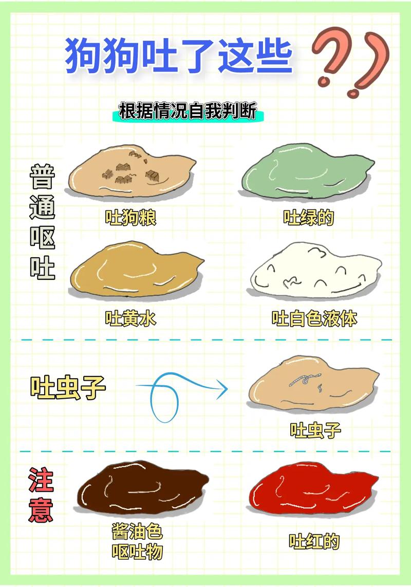 狗狗连拉带吐怎么回事_小狗连拉在吐怎么办,还不吃食-第4张图片-后鲨宠物 狗狗连拉带吐怎么回事_小狗连拉在吐怎么办,还不吃食-第4张图片-后鲨宠物