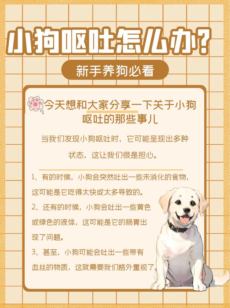 狗狗连拉带吐怎么回事_小狗连拉在吐怎么办,还不吃食-第5张图片-后鲨宠物 狗狗连拉带吐怎么回事_小狗连拉在吐怎么办,还不吃食-第5张图片-后鲨宠物