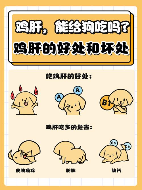 鸡肝对狗狗有什么好处_鸡肝对狗狗有什么好处和功效-第4张图片-后鲨宠物 鸡肝对狗狗有什么好处_鸡肝对狗狗有什么好处和功效-第4张图片-后鲨宠物