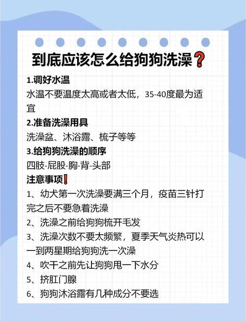 怎样给狗狗洗澡_怎样给狗狗洗澡才干净-第5张图片-后鲨宠物 怎样给狗狗洗澡_怎样给狗狗洗澡才干净-第5张图片-后鲨宠物