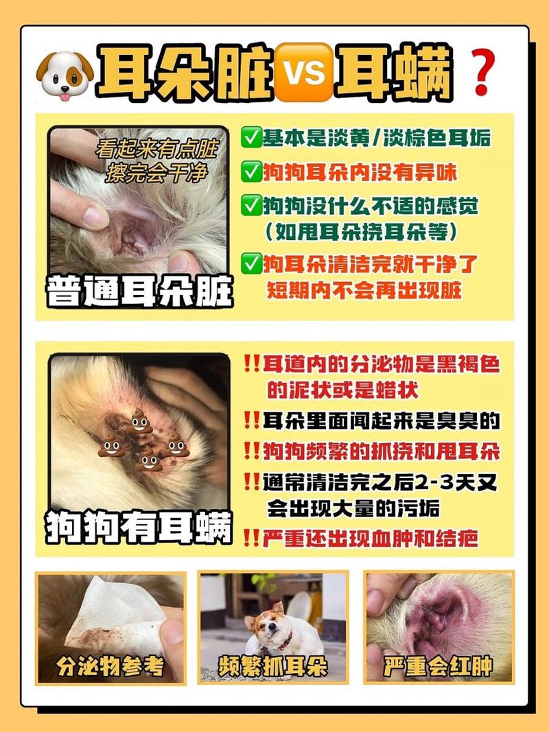 狗狗得了耳螨怎么办,狗狗得了耳螨怎么办能治好吗-第3张图片-后鲨宠物 狗狗得了耳螨怎么办,狗狗得了耳螨怎么办能治好吗-第3张图片-后鲨宠物