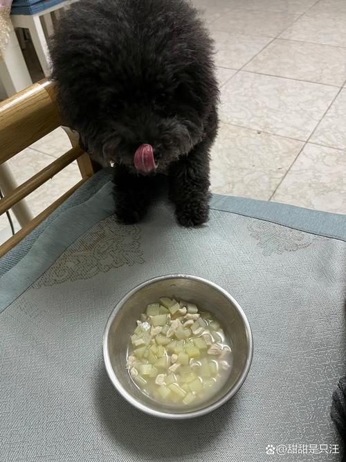 狗狗乱捡东西吃怎么办,狗狗乱捡食怎么办?-第5张图片-后鲨宠物 狗狗乱捡东西吃怎么办,狗狗乱捡食怎么办?-第5张图片-后鲨宠物