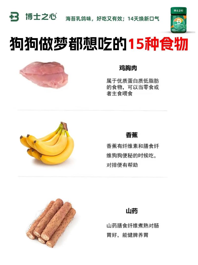 产后狗狗吃什么下奶,产后母狗吃什么奶多?-第2张图片-后鲨宠物 产后狗狗吃什么下奶,产后母狗吃什么奶多?-第2张图片-后鲨宠物