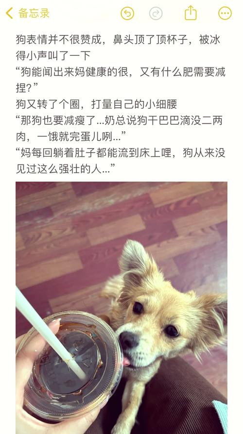 产后狗狗吃什么下奶,产后母狗吃什么奶多?-第3张图片-后鲨宠物 产后狗狗吃什么下奶,产后母狗吃什么奶多?-第3张图片-后鲨宠物