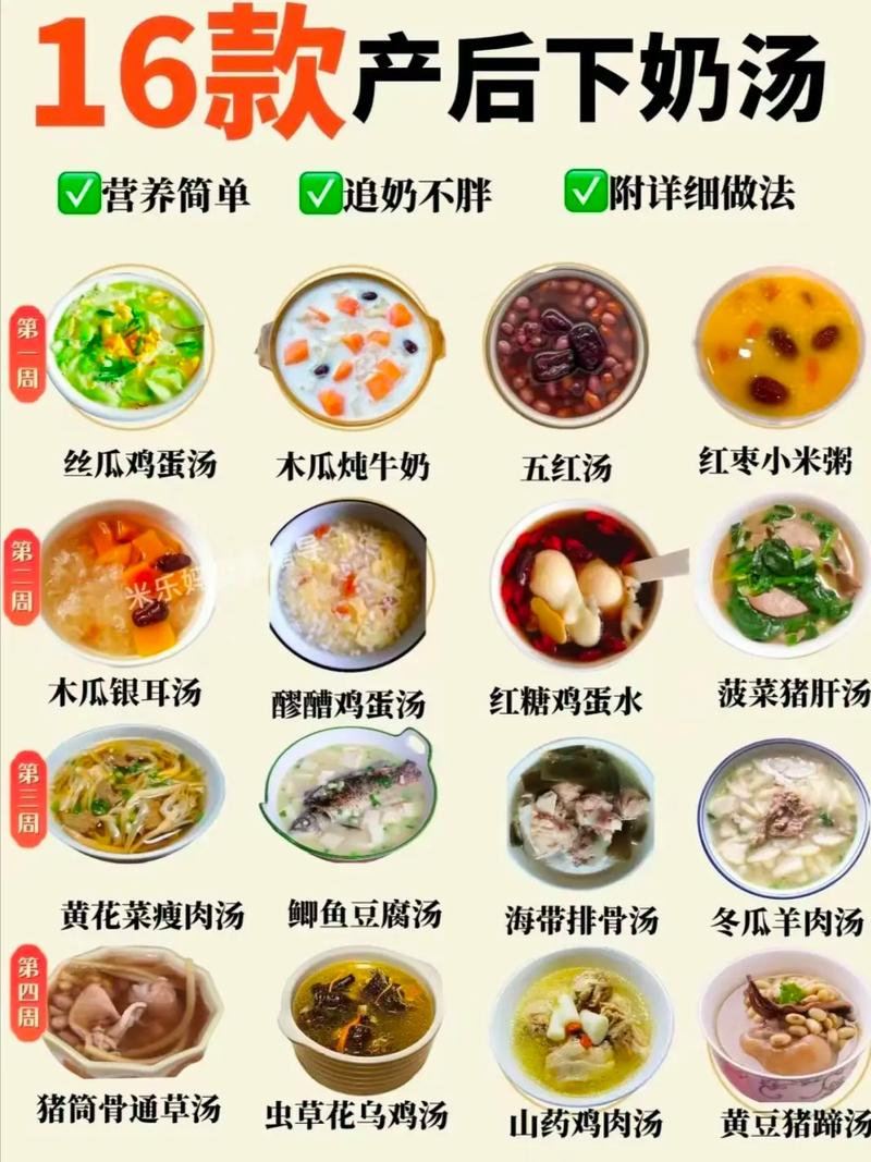 产后狗狗吃什么下奶,产后母狗吃什么奶多?-第4张图片-后鲨宠物 产后狗狗吃什么下奶,产后母狗吃什么奶多?-第4张图片-后鲨宠物