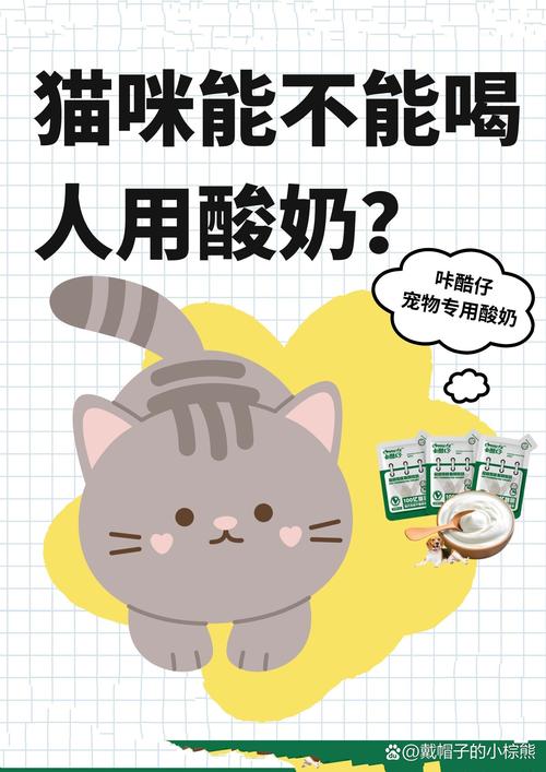 猫咪可以吃酸奶_猫咪可以吃酸奶么-第1张图片-后鲨宠物