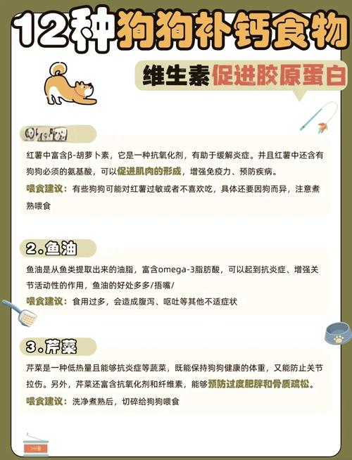 给狗狗补钙吃什么,给狗补钙应该吃什么?-第1张图片-后鲨宠物 给狗狗补钙吃什么,给狗补钙应该吃什么?-第1张图片-后鲨宠物