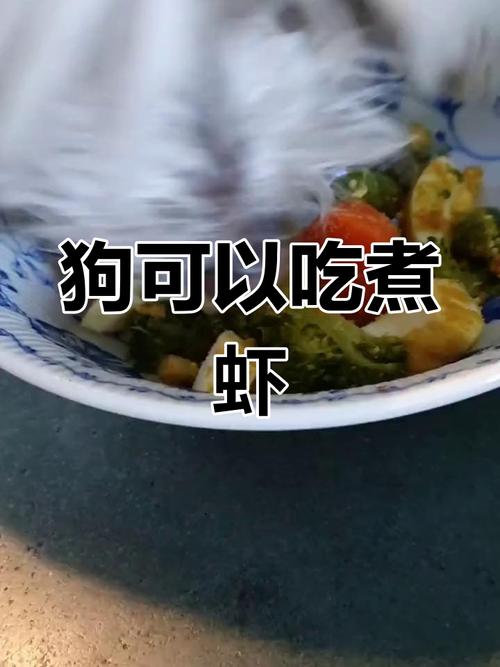 狗狗能吃虾肉吗_狗狗能吃虾肉吗熟的-第2张图片-后鲨宠物 狗狗能吃虾肉吗_狗狗能吃虾肉吗熟的-第2张图片-后鲨宠物