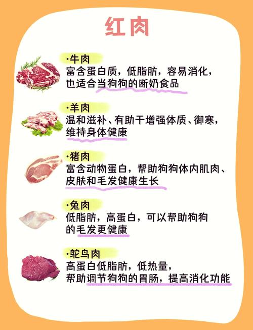 狗狗能吃虾肉吗_狗狗能吃虾肉吗熟的-第5张图片-后鲨宠物 狗狗能吃虾肉吗_狗狗能吃虾肉吗熟的-第5张图片-后鲨宠物