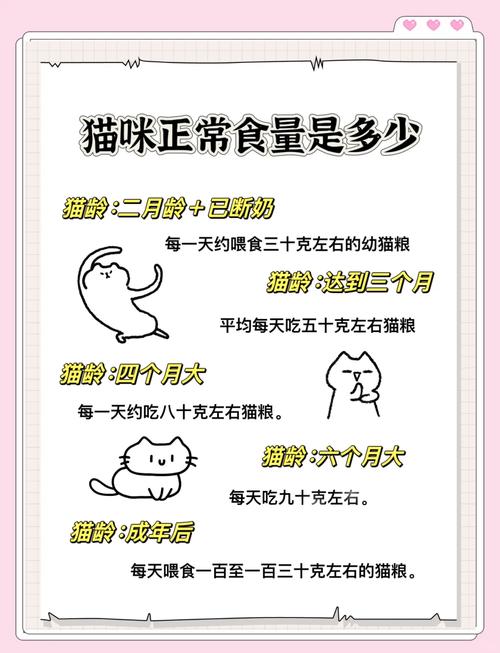 猫咪一顿吃多少,猫咪一顿吃多少g-第2张图片-后鲨宠物 猫咪一顿吃多少,猫咪一顿吃多少g-第2张图片-后鲨宠物