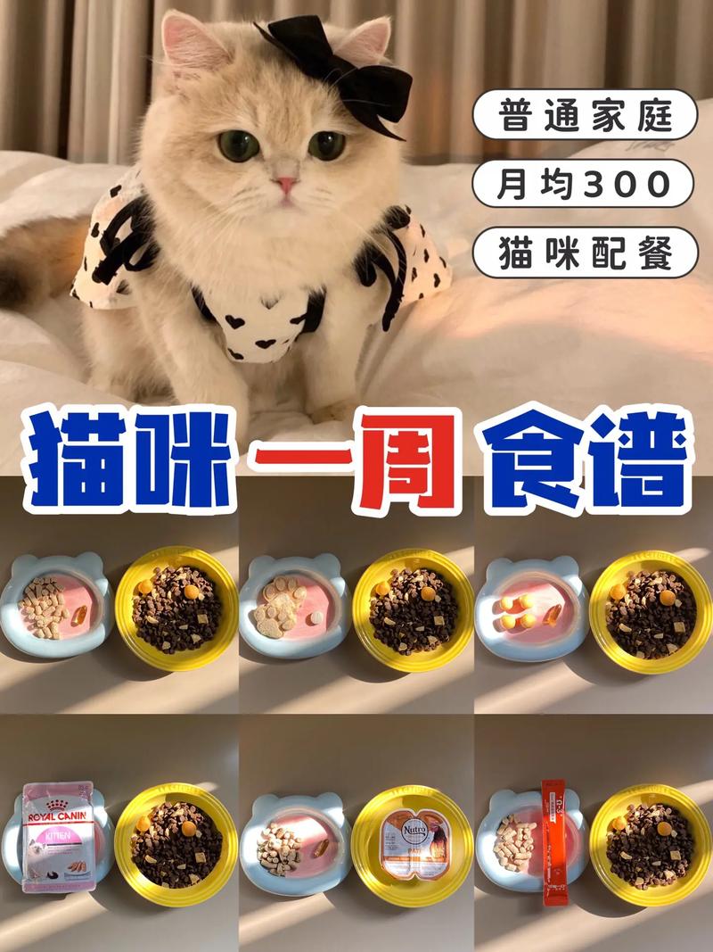 猫咪一顿吃多少,猫咪一顿吃多少g-第3张图片-后鲨宠物 猫咪一顿吃多少,猫咪一顿吃多少g-第3张图片-后鲨宠物