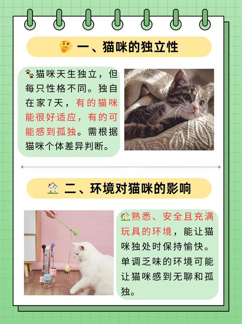 猫咪可以一个人在家吗_小猫可以一个人放在家里吗-第5张图片-后鲨宠物 猫咪可以一个人在家吗_小猫可以一个人放在家里吗-第5张图片-后鲨宠物