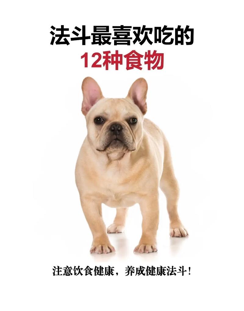 狗狗不爱吃饭怎么办，狗生小狗不吃饭怎么办？-第1张图片-后鲨宠物