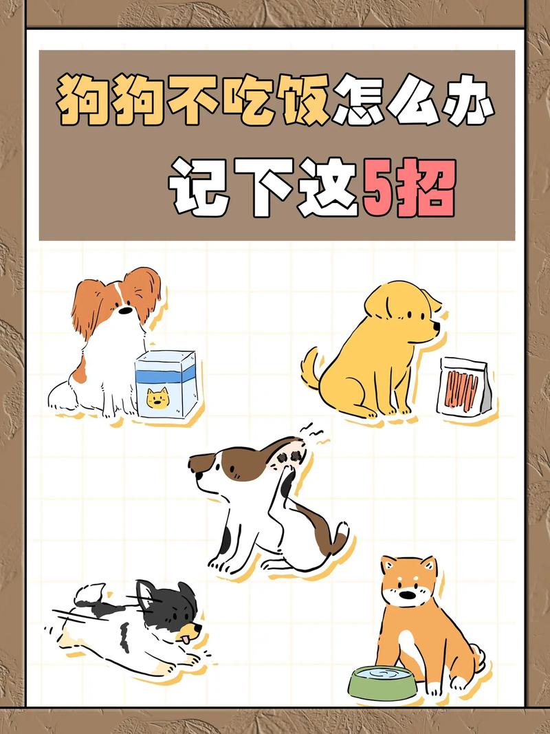 狗狗不爱吃饭怎么办，狗生小狗不吃饭怎么办？-第2张图片-后鲨宠物