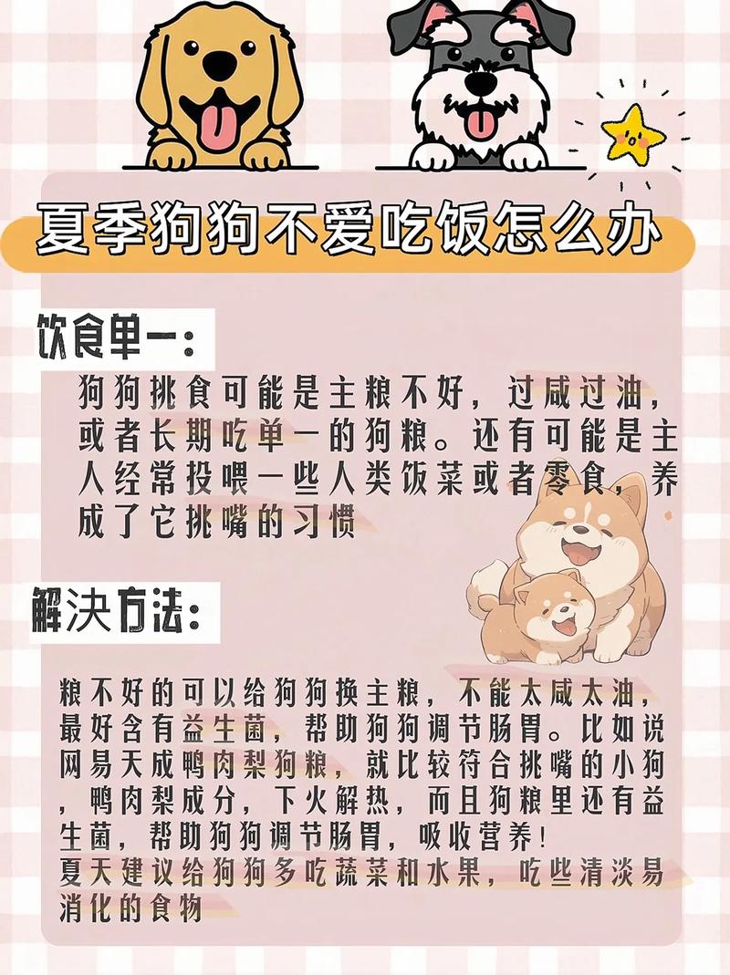 狗狗不爱吃饭怎么办，狗生小狗不吃饭怎么办？-第3张图片-后鲨宠物