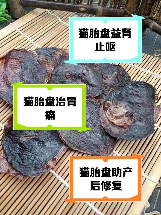 如何让猫咪排除胎盘_怎么判断猫胎盘残留有没有排出-第2张图片-后鲨宠物