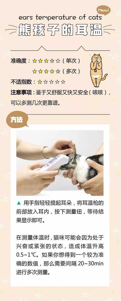怎么测猫咪体温_怎么测猫咪体温最准-第6张图片-后鲨宠物 怎么测猫咪体温_怎么测猫咪体温最准-第6张图片-后鲨宠物