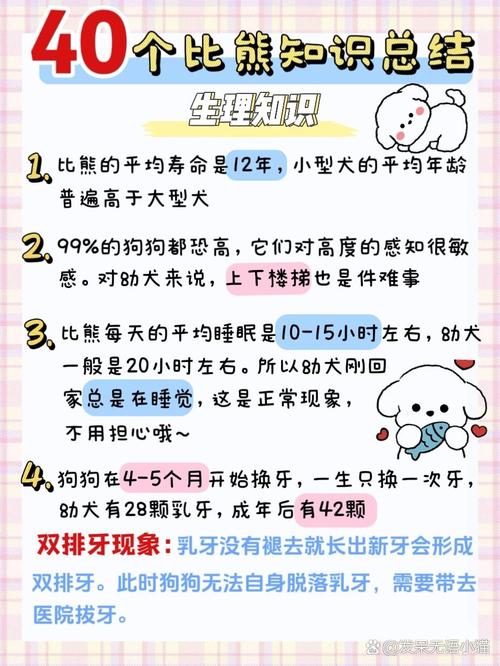 狗狗可以吃鸭蛋黄吗,狗狗可以吃鸭蛋黄吗怎么吃?-第1张图片-后鲨宠物 狗狗可以吃鸭蛋黄吗,狗狗可以吃鸭蛋黄吗怎么吃?-第1张图片-后鲨宠物