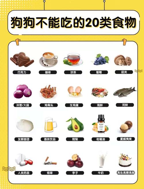 狗狗可以吃油条吗,小狗可以吃油条?-第4张图片-后鲨宠物 狗狗可以吃油条吗,小狗可以吃油条?-第4张图片-后鲨宠物