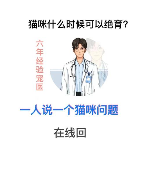 猫咪多久可以绝育,6个月猫绝育太早了吗-第6张图片-后鲨宠物 猫咪多久可以绝育,6个月猫绝育太早了吗-第6张图片-后鲨宠物