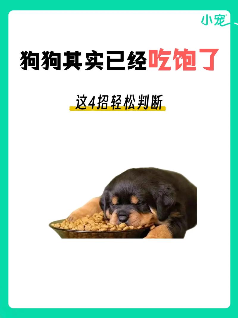 狗狗可以吃黑芝麻糊吗,狗可以吃黑芝麻糊吗??-第3张图片-后鲨宠物 狗狗可以吃黑芝麻糊吗,狗可以吃黑芝麻糊吗??-第3张图片-后鲨宠物