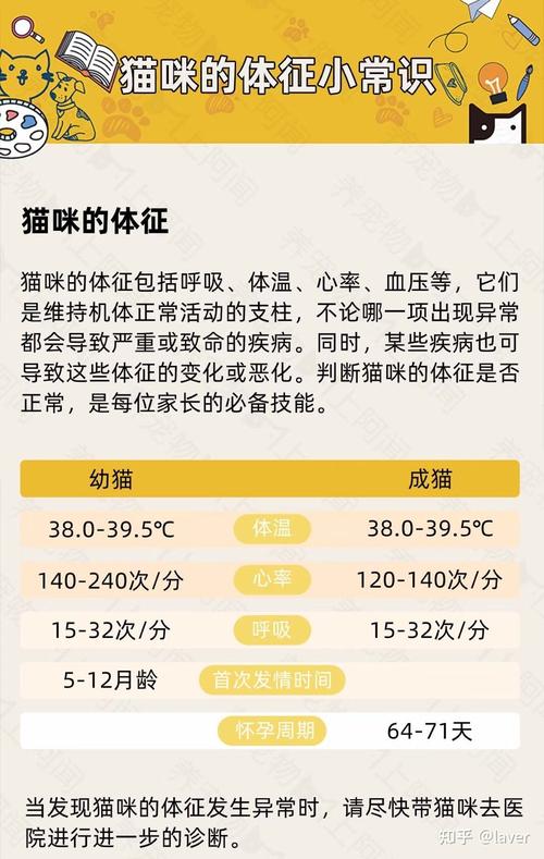 猫咪的体温是多少正常,猫咪的体温一般是多少-第4张图片-后鲨宠物 猫咪的体温是多少正常,猫咪的体温一般是多少-第4张图片-后鲨宠物
