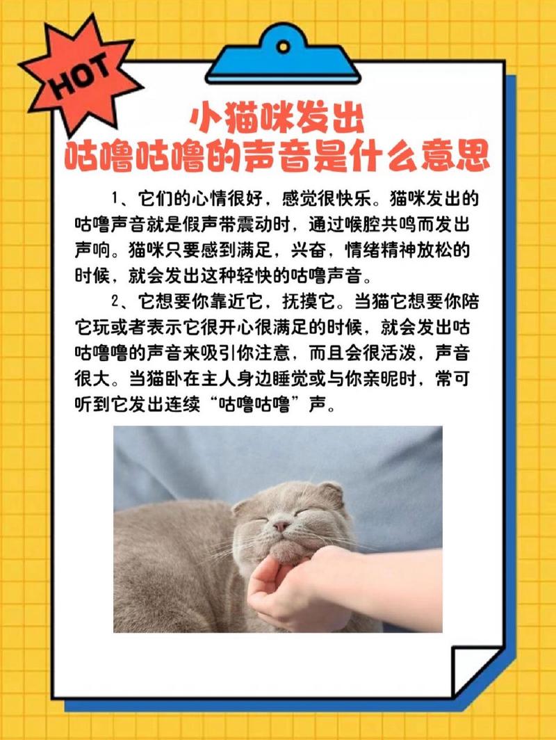 猫咪打呼噜代表什么_猫咪睡觉打呼噜代表什么-第6张图片-后鲨宠物 猫咪打呼噜代表什么_猫咪睡觉打呼噜代表什么-第6张图片-后鲨宠物
