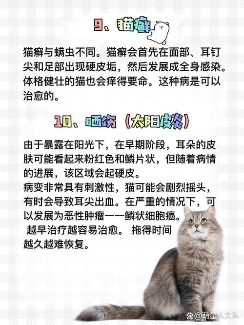  猫咪老是抓耳朵，猫咪老是抓耳朵,有时候甩头,猫抓耳朵是怎么了-第4张图片-后鲨宠物