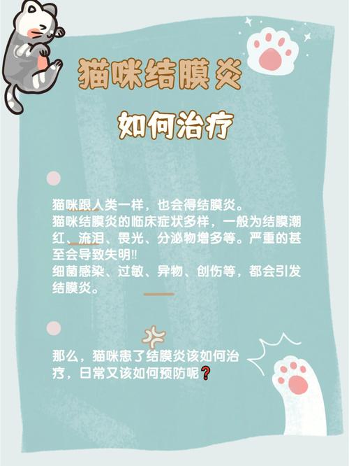 猫咪结膜炎用什么药好,猫咪结膜炎怎么用药?-第4张图片-后鲨宠物 猫咪结膜炎用什么药好,猫咪结膜炎怎么用药?-第4张图片-后鲨宠物