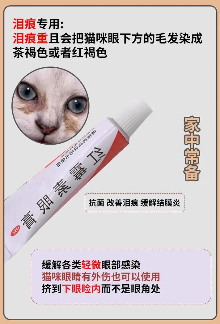 猫咪结膜炎用什么药好,猫咪结膜炎怎么用药?-第5张图片-后鲨宠物 猫咪结膜炎用什么药好,猫咪结膜炎怎么用药?-第5张图片-后鲨宠物
