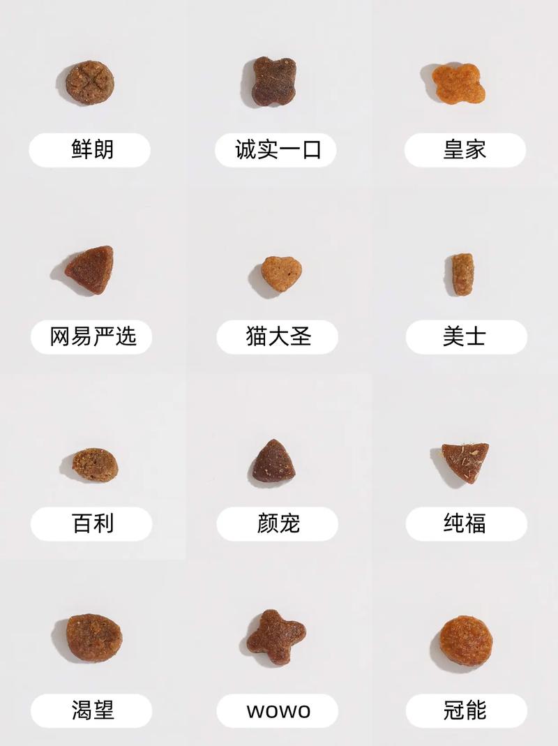 猫咪能吃奶片吗,猫咪可以吃奶片吗-第3张图片-后鲨宠物 猫咪能吃奶片吗,猫咪可以吃奶片吗-第3张图片-后鲨宠物