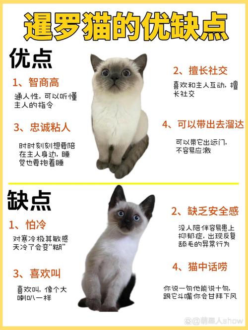 猫咪能吃奶片吗,猫咪可以吃奶片吗-第4张图片-后鲨宠物 猫咪能吃奶片吗,猫咪可以吃奶片吗-第4张图片-后鲨宠物