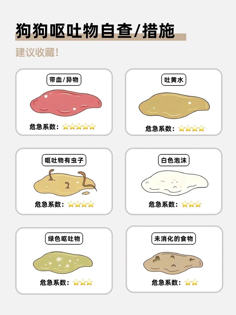 狗狗拉稀带血怎么回事_狗狗拉稀带血怎么回事精神挺好的-第1张图片-后鲨宠物 狗狗拉稀带血怎么回事_狗狗拉稀带血怎么回事精神挺好的-第1张图片-后鲨宠物