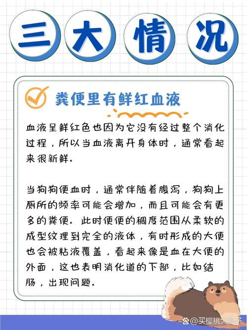 狗狗拉稀带血怎么回事_狗狗拉稀带血怎么回事精神挺好的-第5张图片-后鲨宠物 狗狗拉稀带血怎么回事_狗狗拉稀带血怎么回事精神挺好的-第5张图片-后鲨宠物